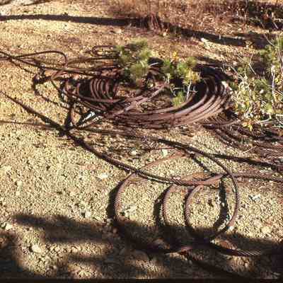 7. Hoist cable, Ward, Colo.: color slide