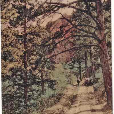 5. Road to the Spring, Blue Bell Canon, Boulder, Colo.: Fine & Coulson, Hand-Colored
