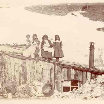 Woman with five children and dog on cabin roof