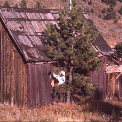 4. Miner's shack, Jimtown: color slide