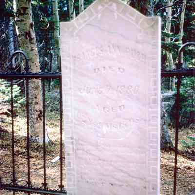 3. Frances Ann Pugh gravestone close-up: 8"x10" color print from slide