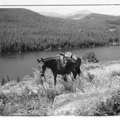 Lake and peak and horse, 5"x3.5": Photo 3