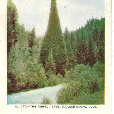 12. The Perfect Tree, Boulder Canon, Colo. No 727: Frank S. Thayer, Publisher, Denver