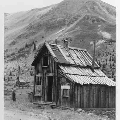 Chihuahua, Colorado