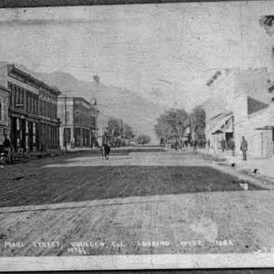 Cow on Pearl Street, Boulder, 1880