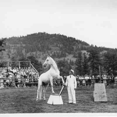 Show at Lazy VV Ranch - photo 2