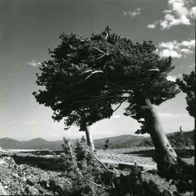 4. Two copies