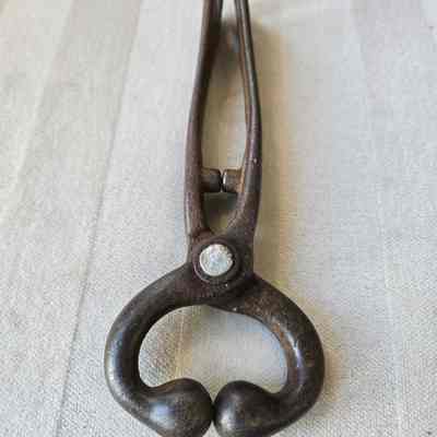 Bull Lead
