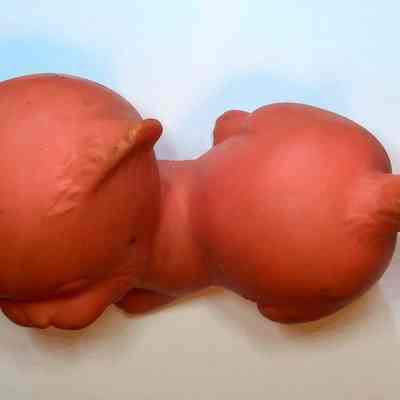 Unpainted Cat _top view