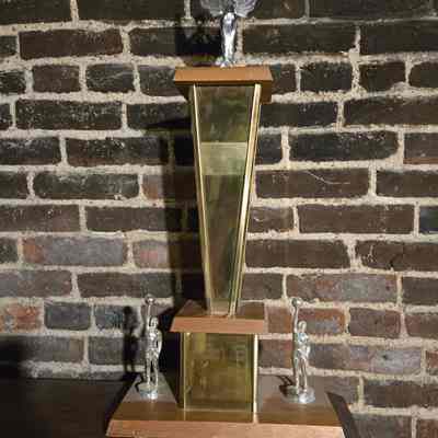 D. A. Cleaners Award