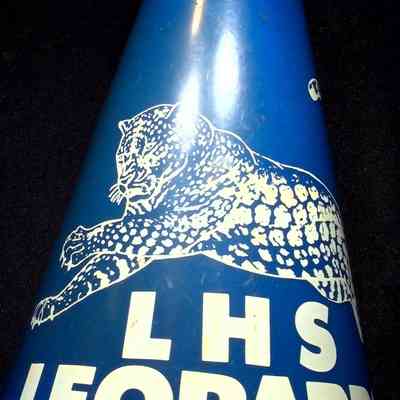 Megaphone