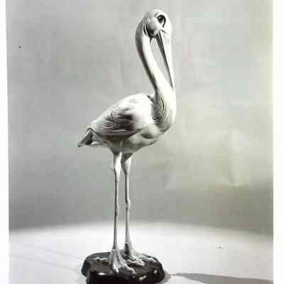 Pelican