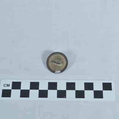 US Navy button