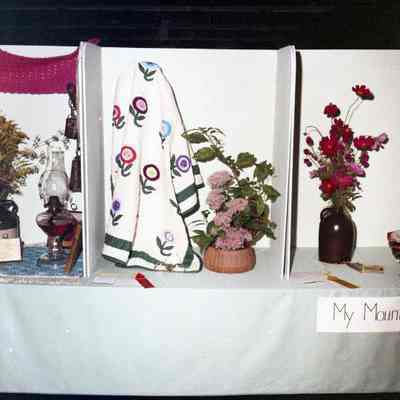 Jefferson County Fair photos 1973