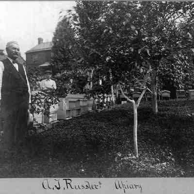 A. J. Russler's apiary