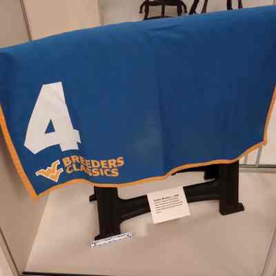 Saddle blanket