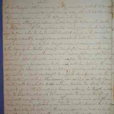 Ann Amelia Stephenson Beckham's diary  (ARC270-3n)