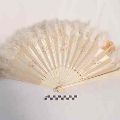 Feather fan