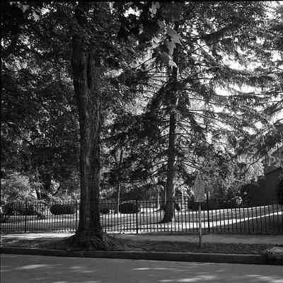 John Brown marker on Samuel Street