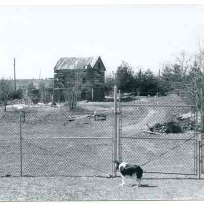 Chain fence, dog, and John Brown Farmhouse in distance