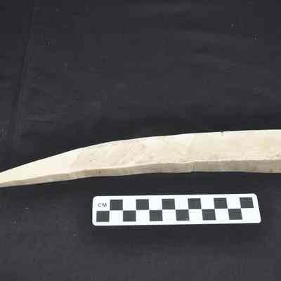 Rough-cut piece of ivory