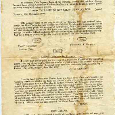 Chamberlain's purchase of Spanish Merino rams