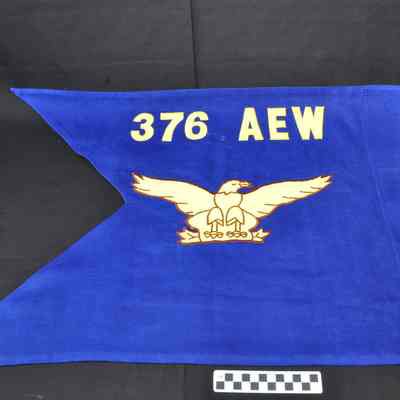 Royal blue guidon flag