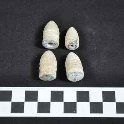 Four Civil War era bullets