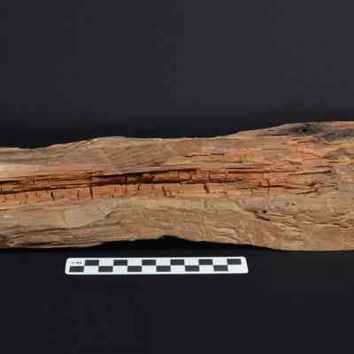 A piece of the John Brown scaffold