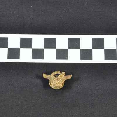 USNR pin