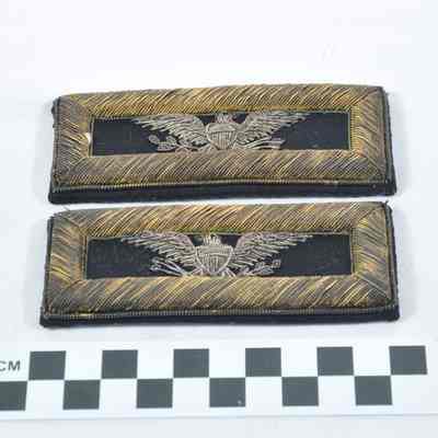 Two shoulder insignia for rank of colonel