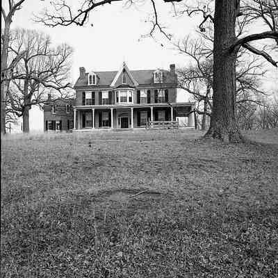 The Bower