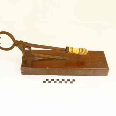 Iron sugar cutter shaped like tongs