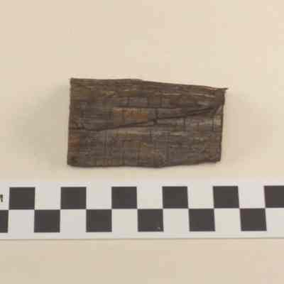 Piece of wood from the USS Congress