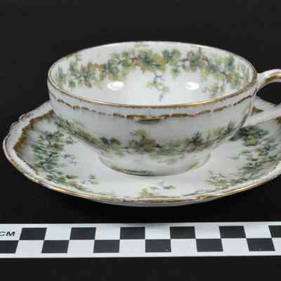 China tea cup and saucer