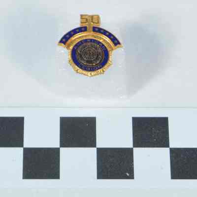 Small, gold-color lapel pin with blue enameling
