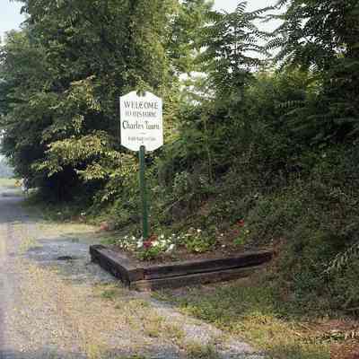 Flowers on Route 9 and Route 340
