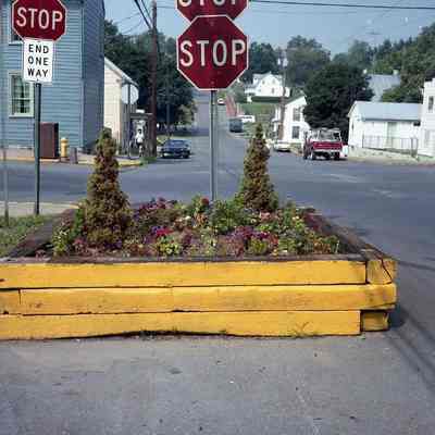 Flowers on Rt. 9 and Rt. 340