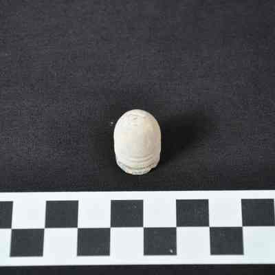 Williams cleaner bullet