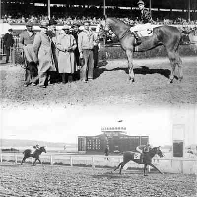 "Honest Knave" at Bowie Race Track