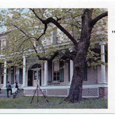The Bower