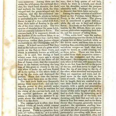 Harper's Ferry, from the Patomac Side