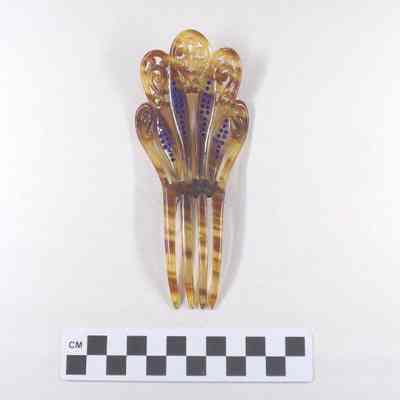 Tortoise shell comb
