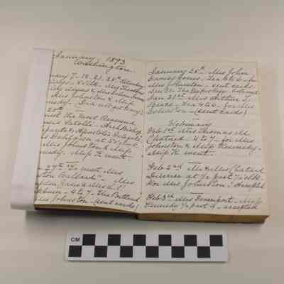 Harriet Lane Johnston's diary