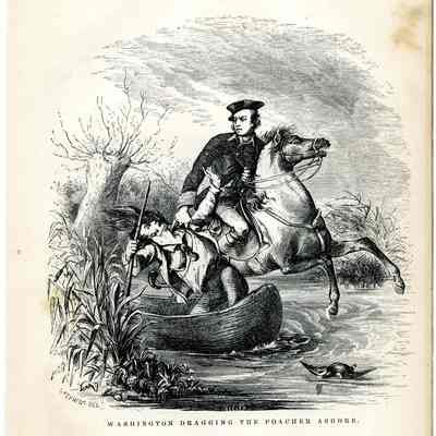 Washington Dragging the Poacher Ashore