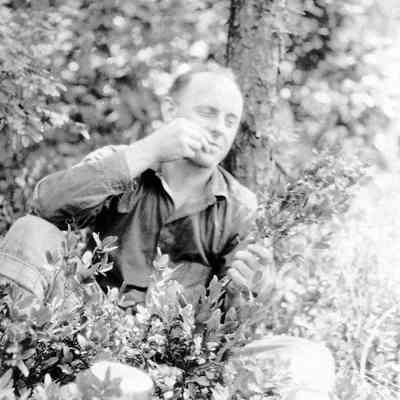 Buzzard Knob, Blue Ridge Mountains, August 1928