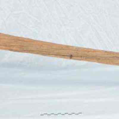 Pattern for a gun stock