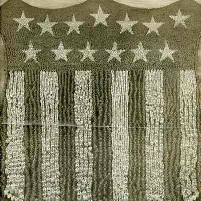 The Human Shield: Origformat: Other