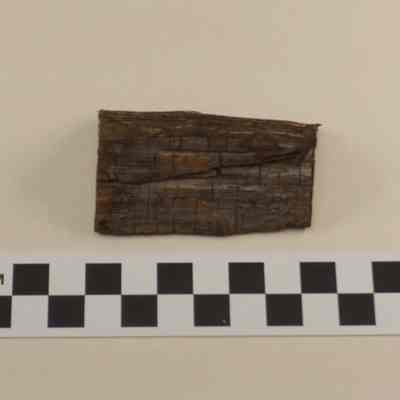 Piece of wood from the USS Congress