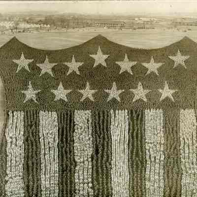 The Human Shield: Origformat: Other